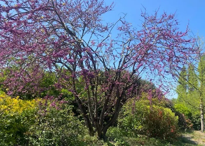 Le Zen - Sauna - Piscine Interieure Σπίτι διακοπών *